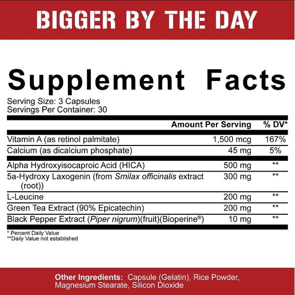 5% Nutrition Bigger By The Day - SuppPrep