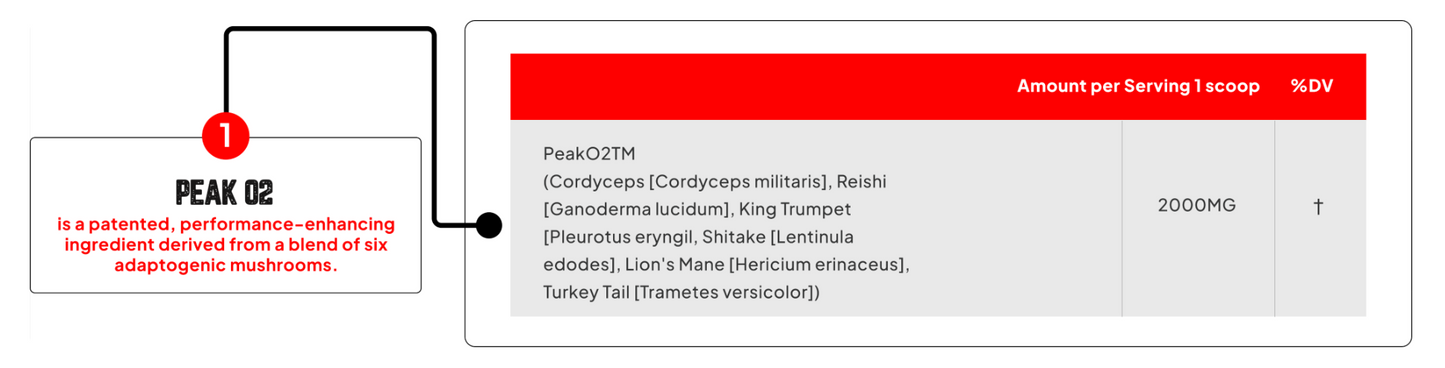 Enhanced Labs Peak02 - SuppPrep