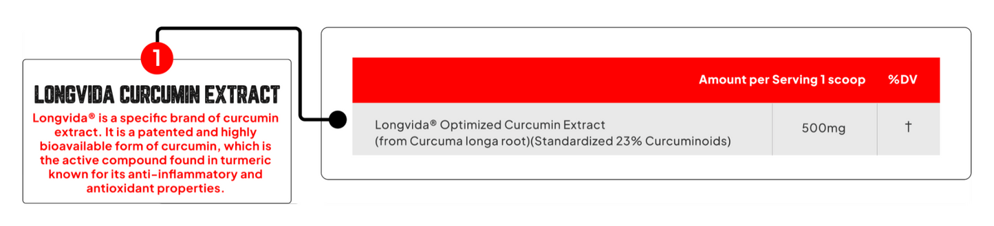 Enhanced Labs Turmeric - SuppPrep