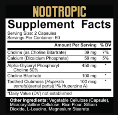 5% Nutrition Nootropic - SuppPrep