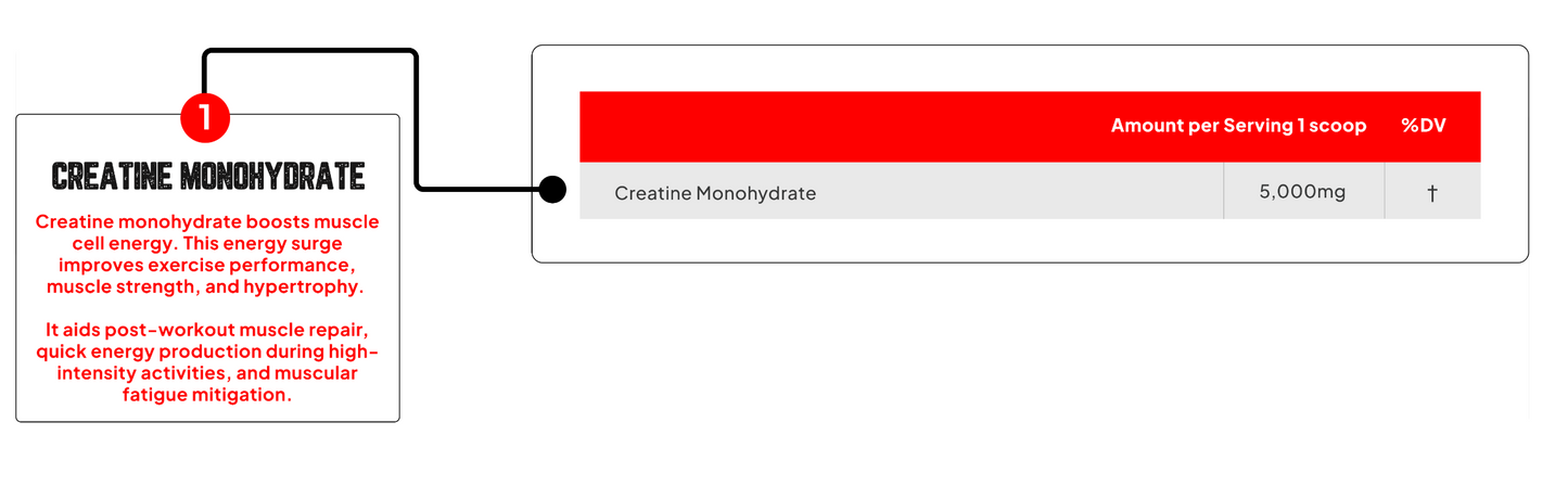 Enhanced Labs Creatine Monohydrate - SuppPrep