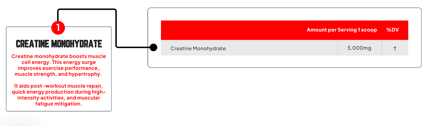 Enhanced Labs Creatine Monohydrate Unflavored - SuppPrep