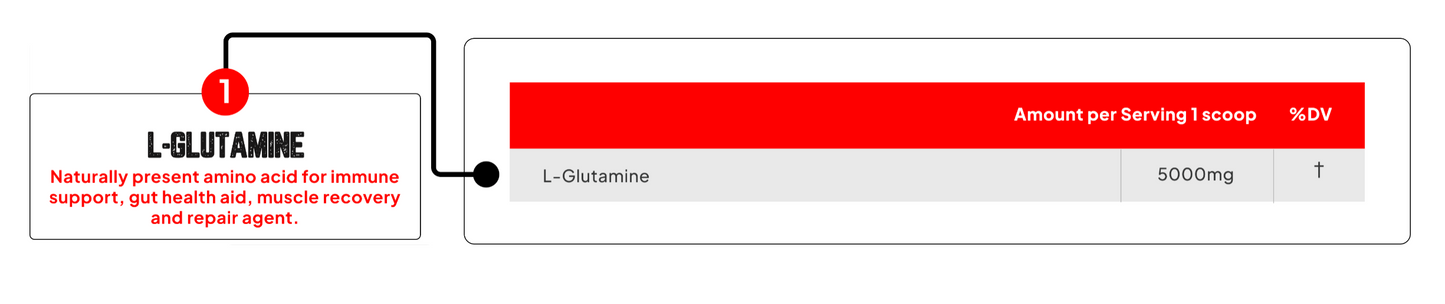 Enhanced Labs Glutamine - SuppPrep