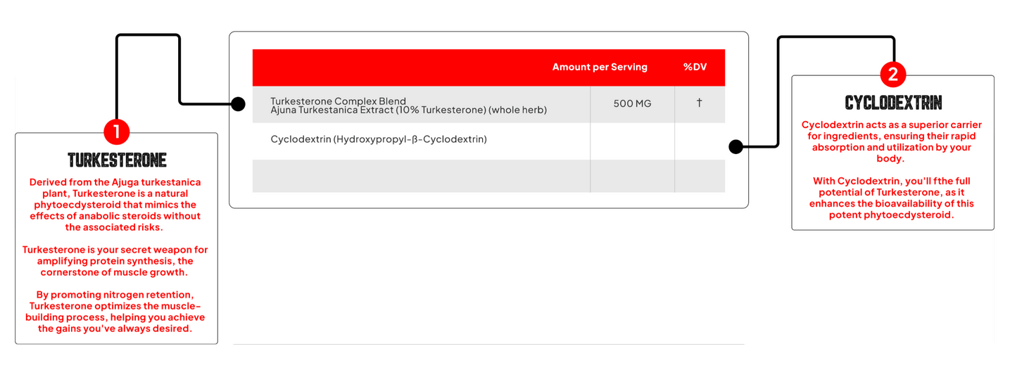 Enhanced Labs Phytoturk