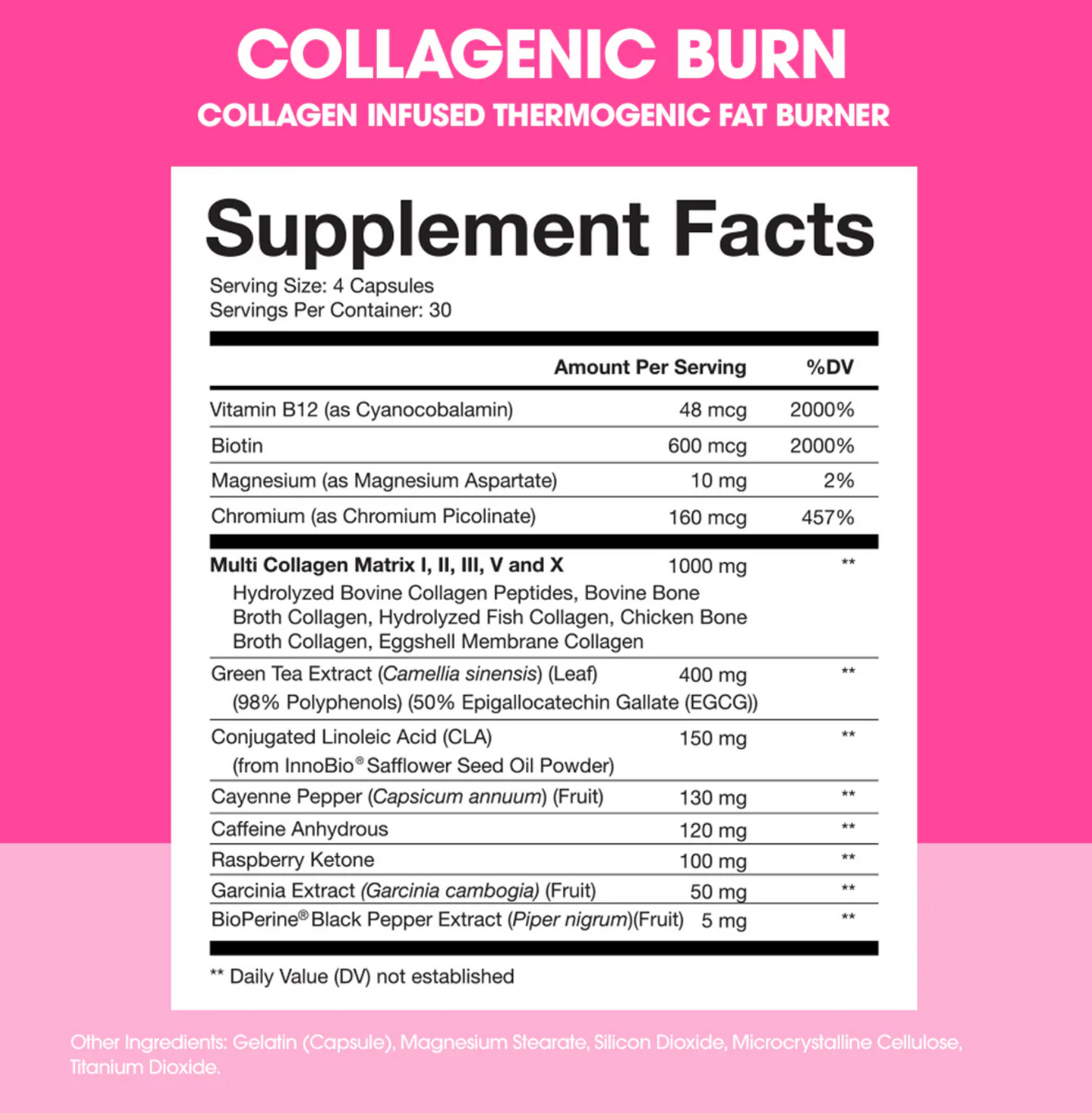 Obvi Collagenic Burn - SuppPrep