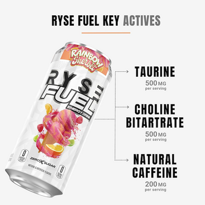 Ryse Fuel Energy RTD