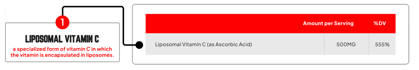 Enhanced Labs Lipomosal Vitamin C