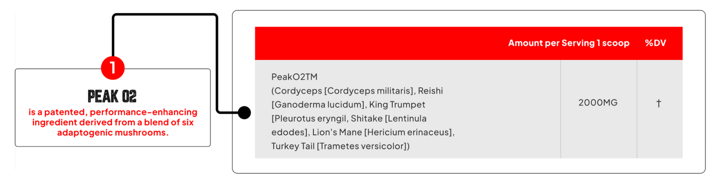 Enhanced Labs Peak02