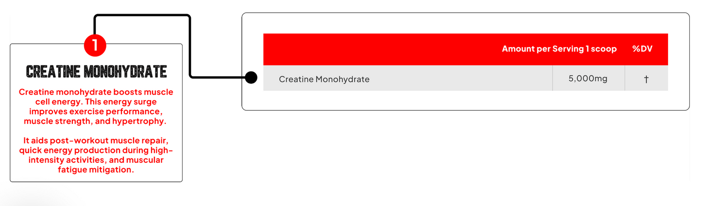 Enhanced Labs Creatine Monohydrate Unflavored