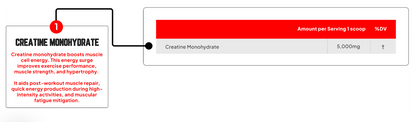 Enhanced Labs Creatine Monohydrate Unflavored